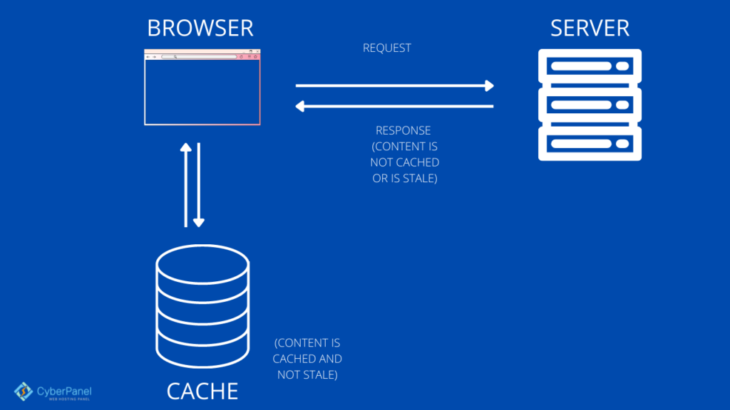 Leverage Browser Caching In WordPress