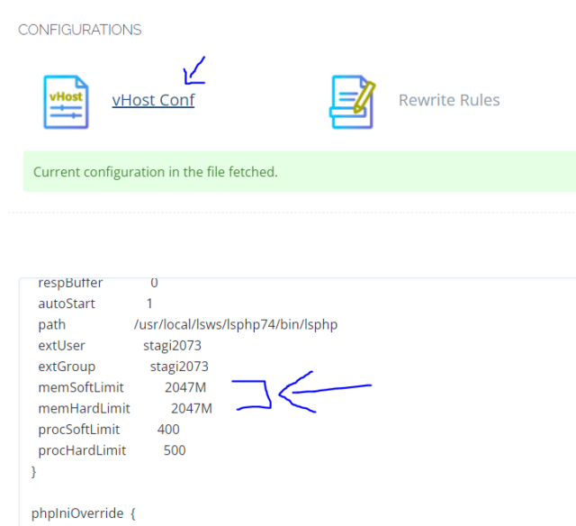 How To Fix "LiteSpeed Out Of Memory PHP"?