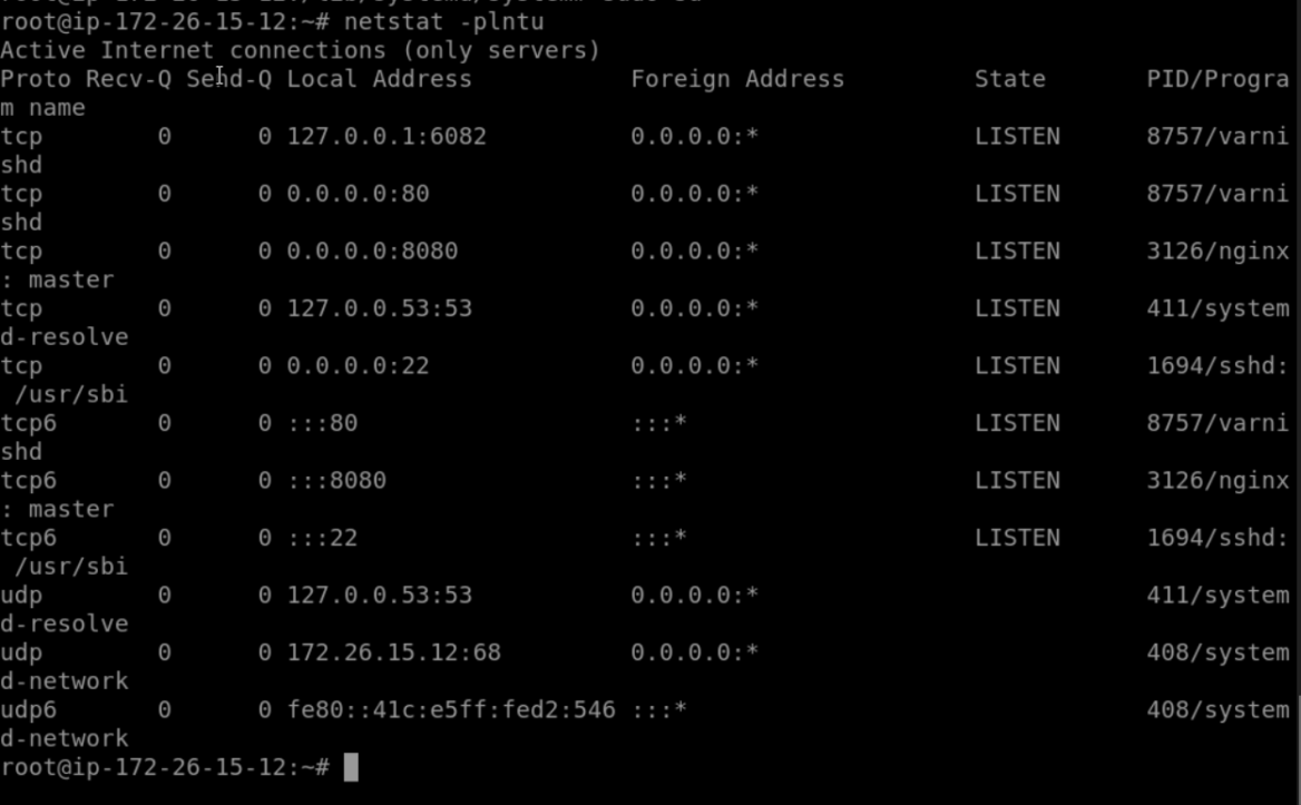 How does Varnish Cache + NGINX Reverse Proxy Works