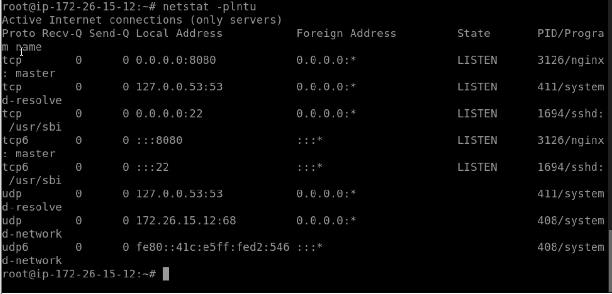 How does Varnish Cache + NGINX Reverse Proxy Works