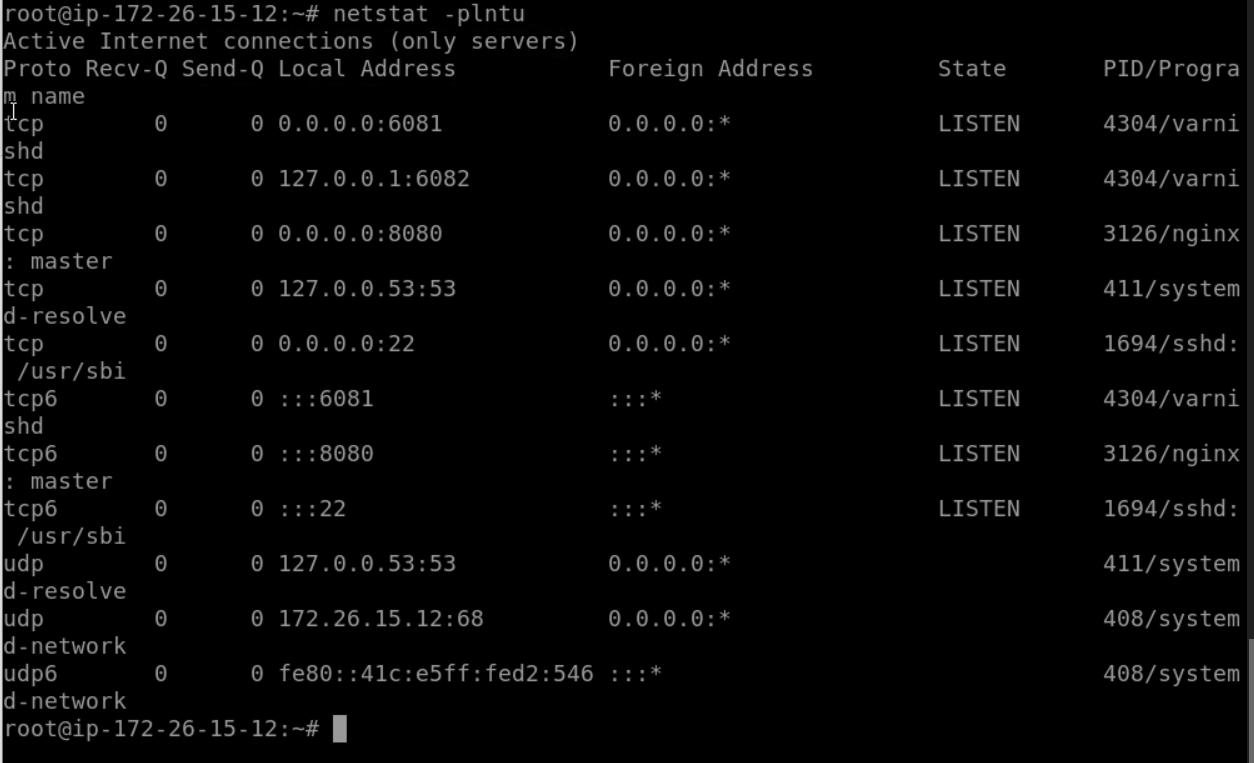 How does Varnish Cache + NGINX Reverse Proxy Works