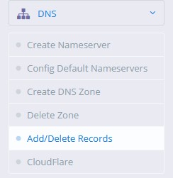 Inside DNS go to the Add/Delete Records 