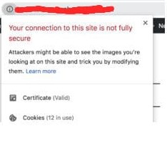 Your connection to this site is not fully secured