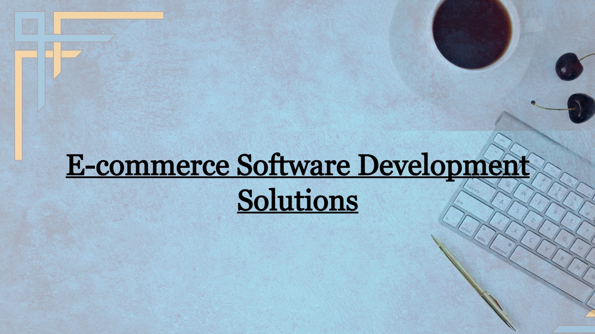 E-commerce Software Development Solutions