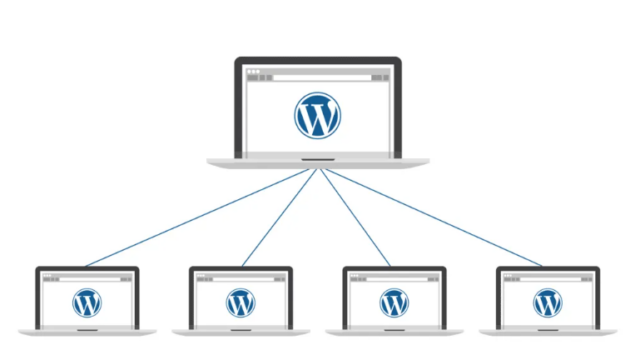 Pros and Cons of WordPress Multisite: Comprehensive Guide