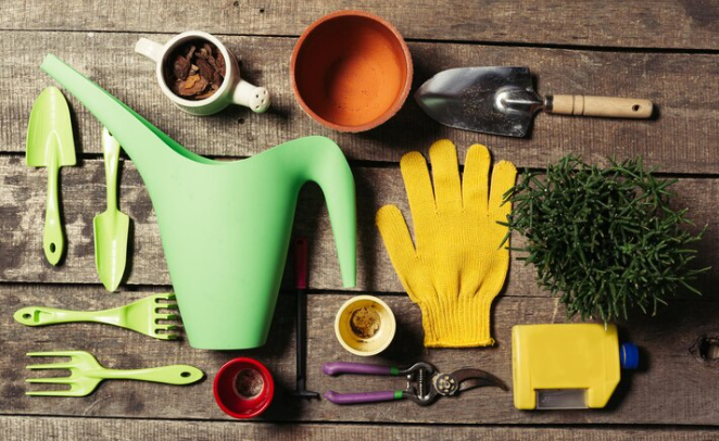 Home Gardening Kits to sell online