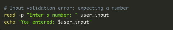 Input-Validation-error-bash-scripting.