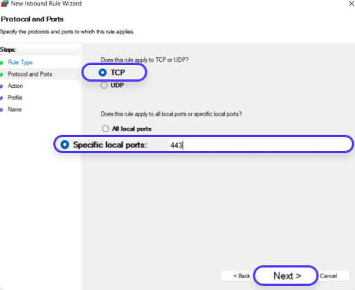 How-to-open-ip-port-443-on -windows