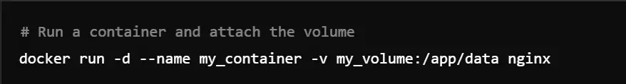 run a docker container and attach the volume