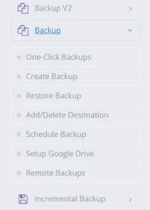 CyberPanel's Backup Features