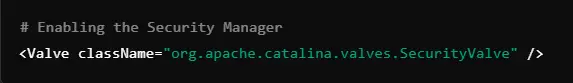 enabling security manager