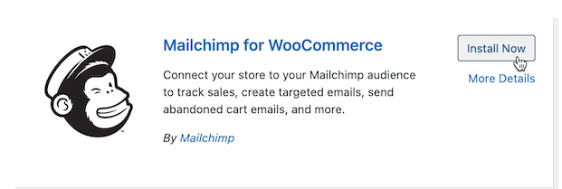 how-to-integrate-WordPress-to-Mailchimp-plugin-installation-2025