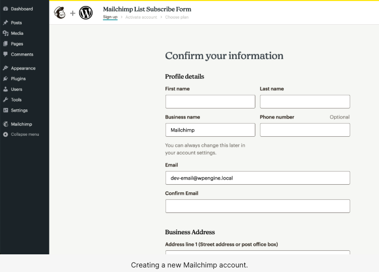 WordPress-integration-with-Mailchimp-subscriber form