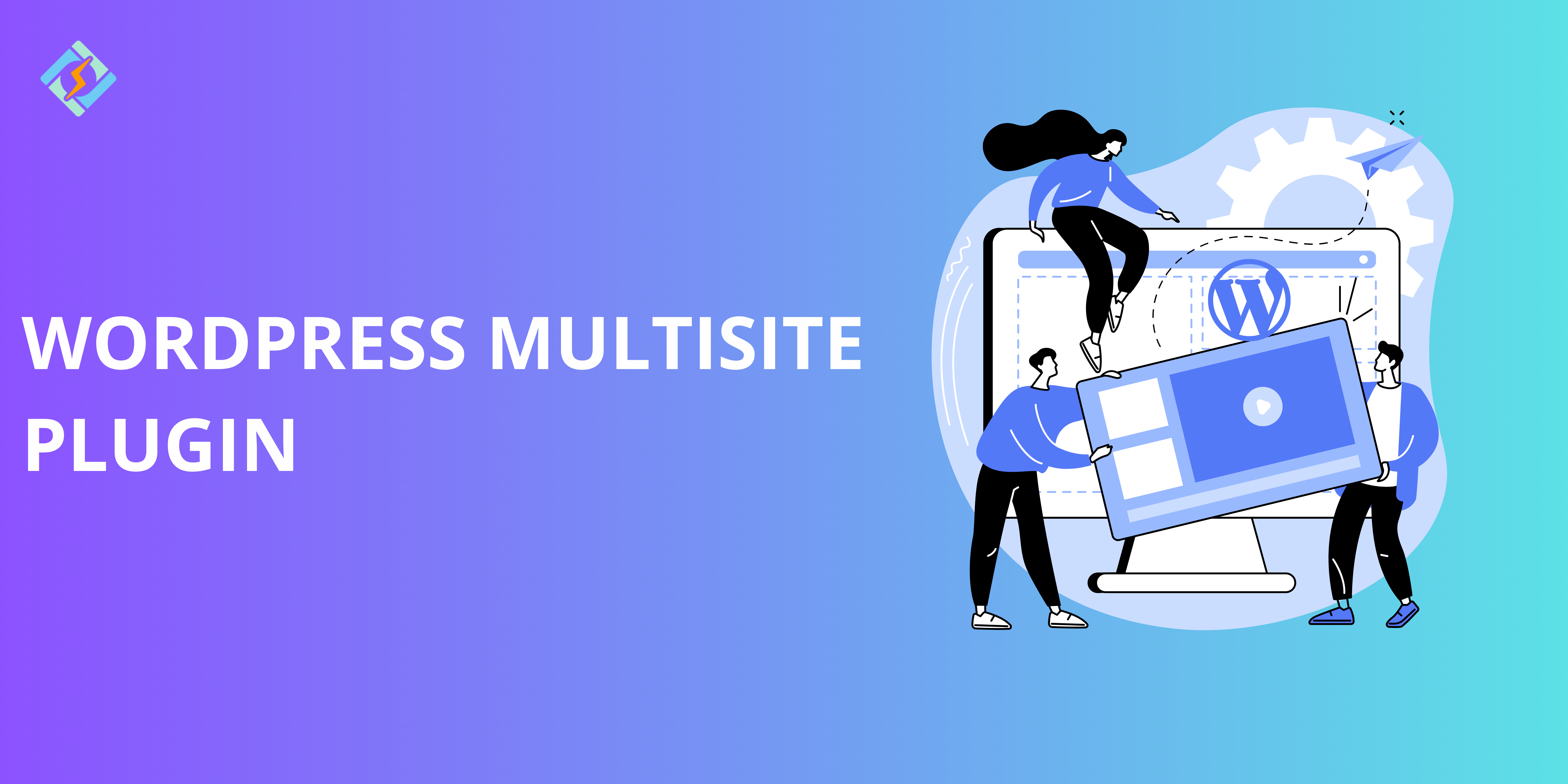 WordPress Multisite Plugin