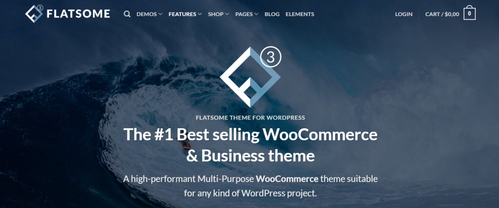 WordPress-eCommerce-Themes 