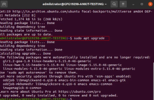 Installing Node.js on Linux: Step-by-Step Guide
