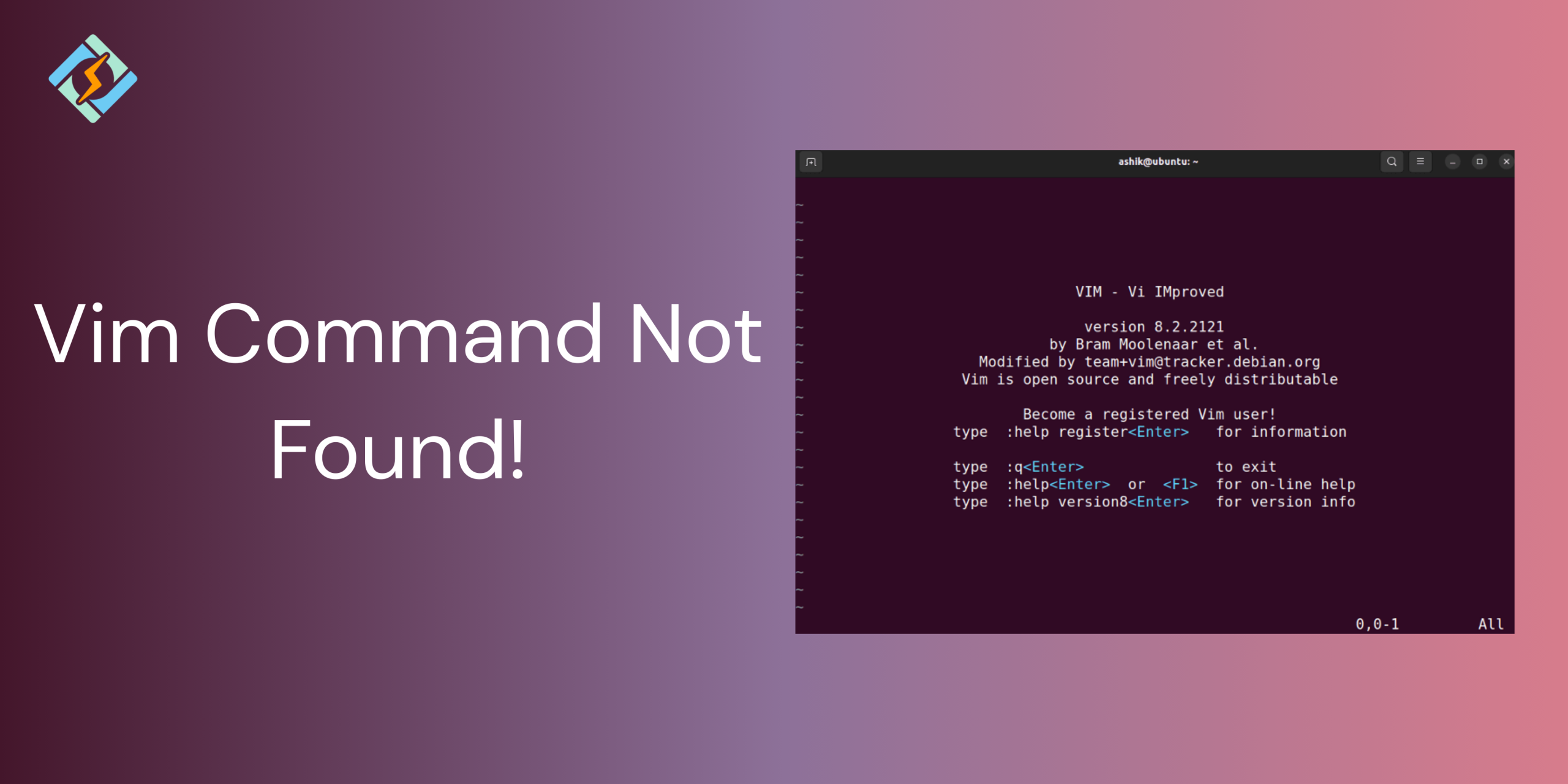 Vim Command Not Found!