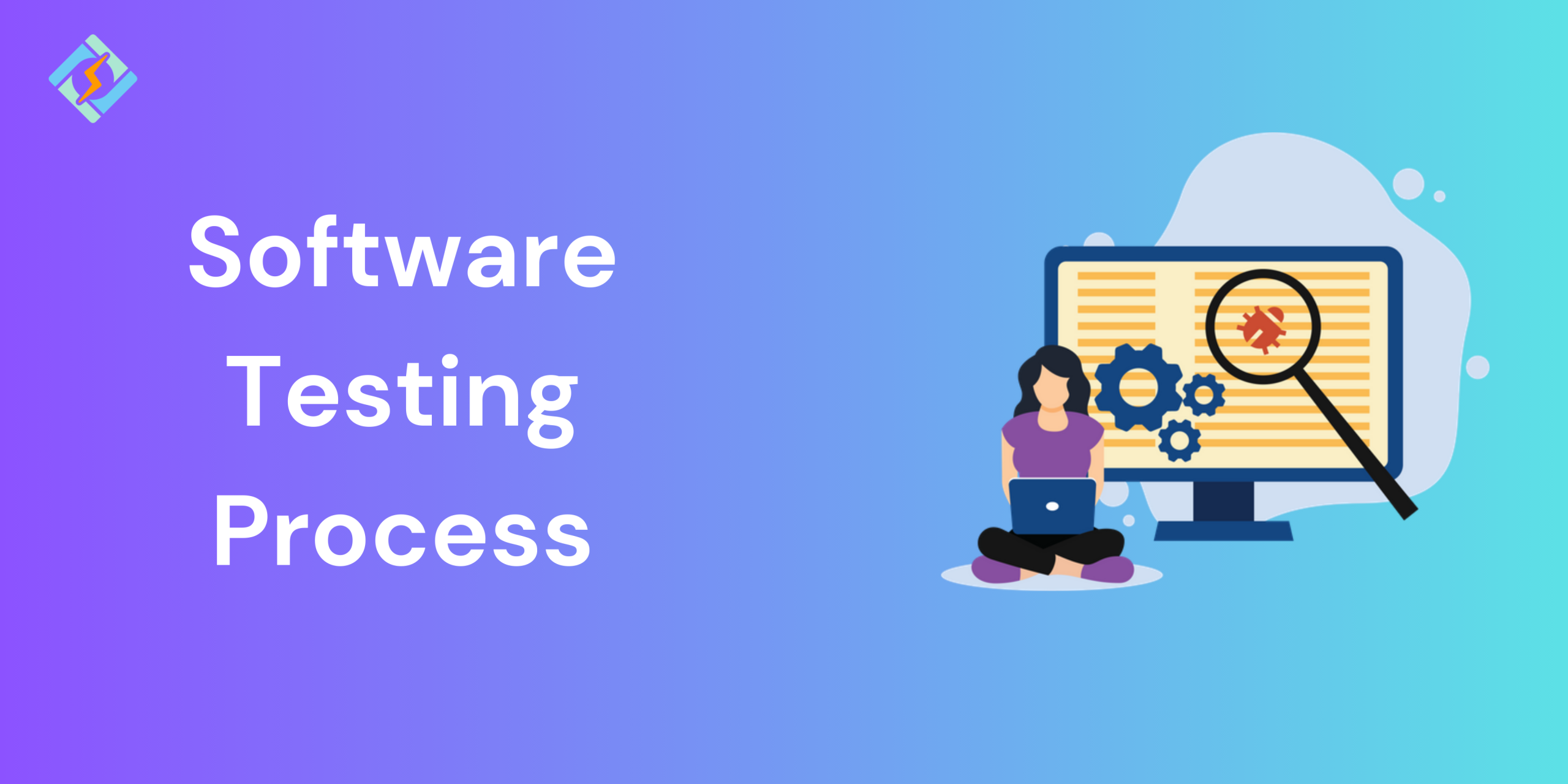 Software testing process