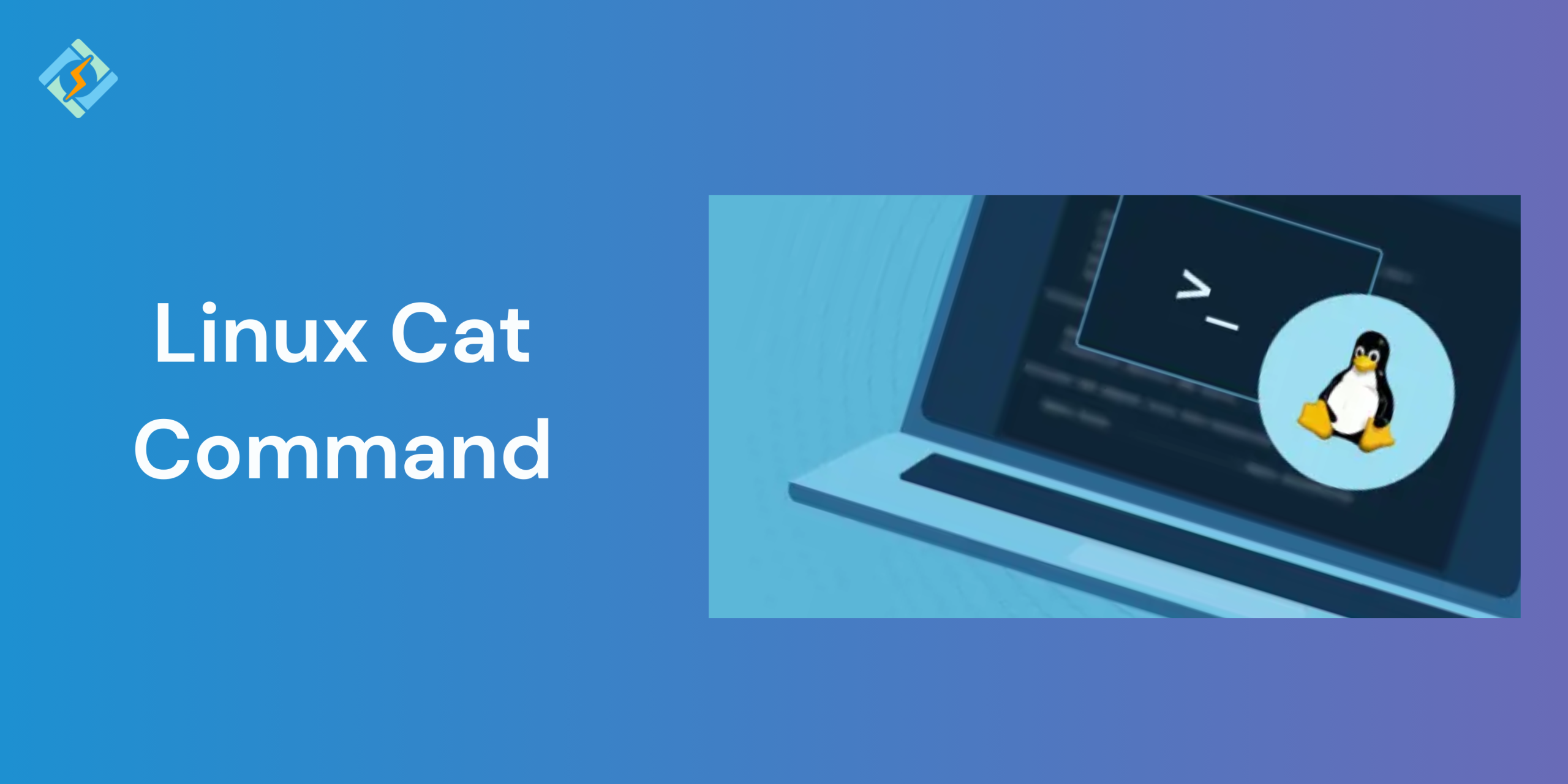 Linux Cat Command