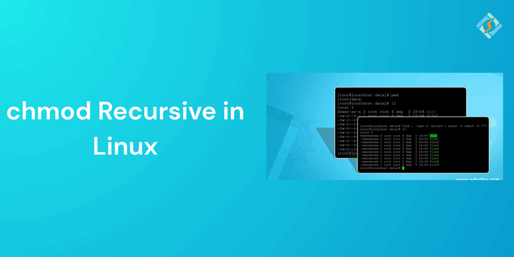 chmod Recursive in Linux