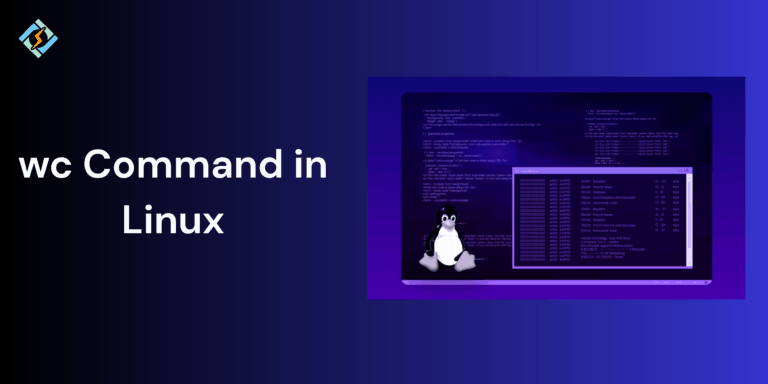 wc Command in Linux