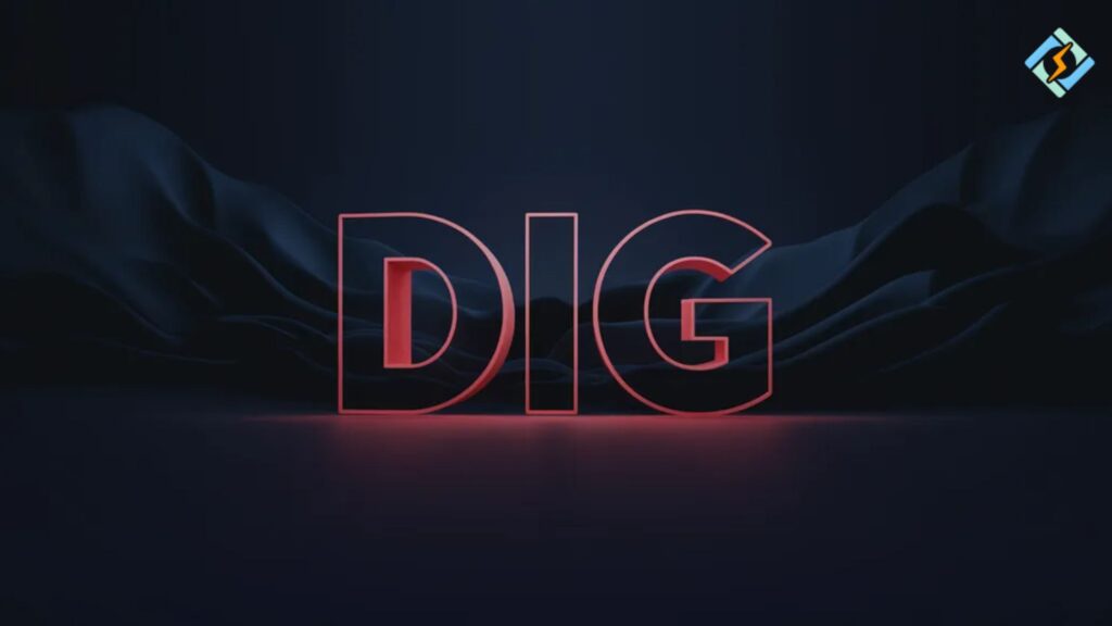DIG command linux