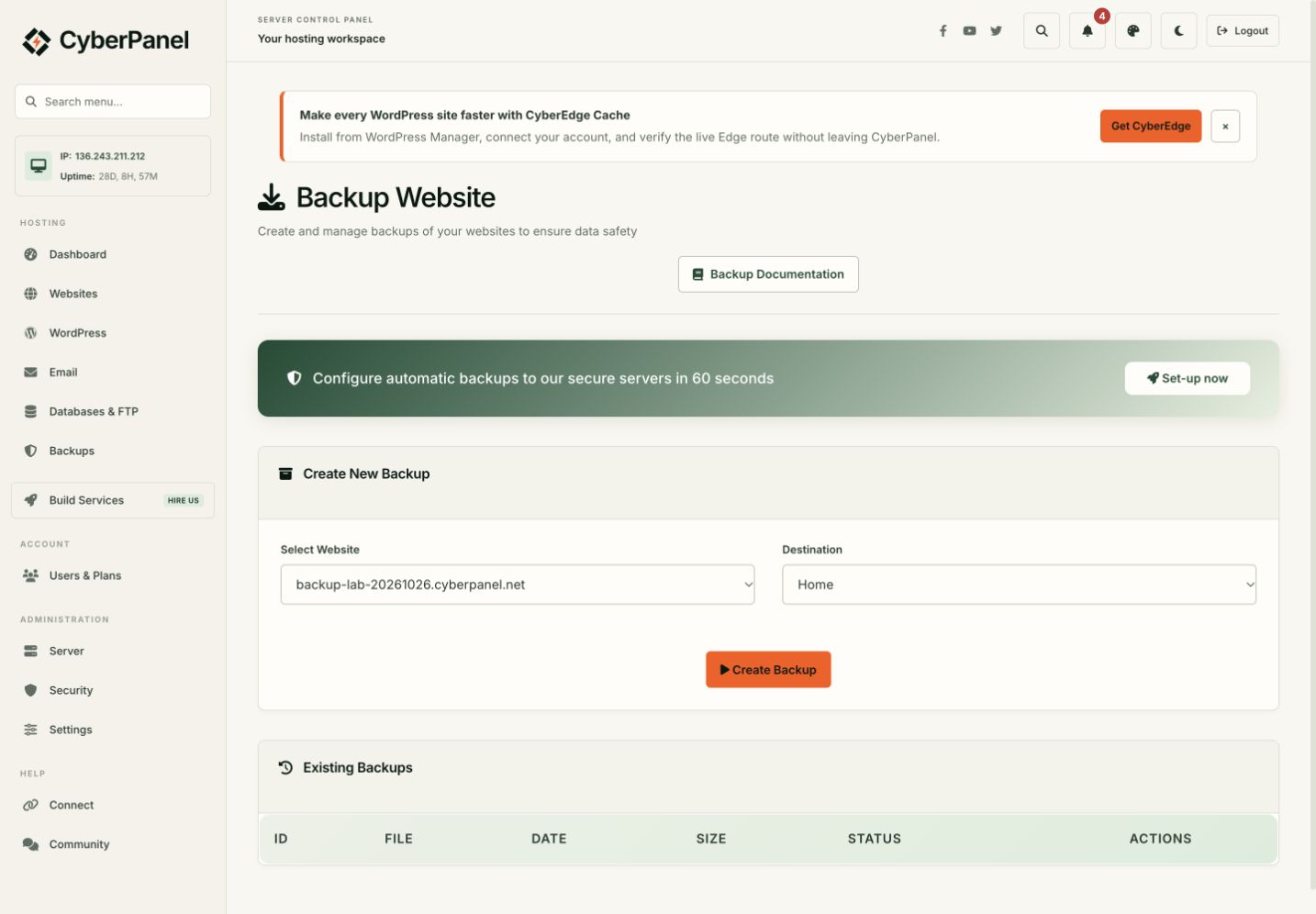 The selected disposable website and Home destination before Create Backup was pressed.