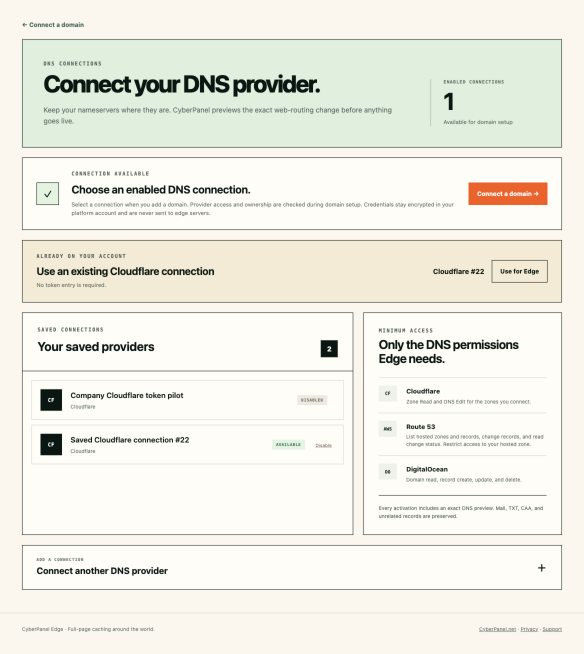 CyberEdge DNS connections page